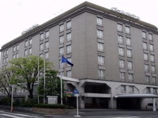 Pearl Hotel Mizonokuchi Kawasaki  Phòng bức ảnh